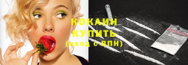тгк Арсеньев