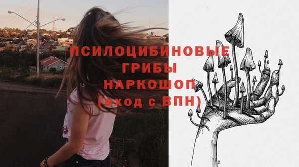 МДПВ Аркадак