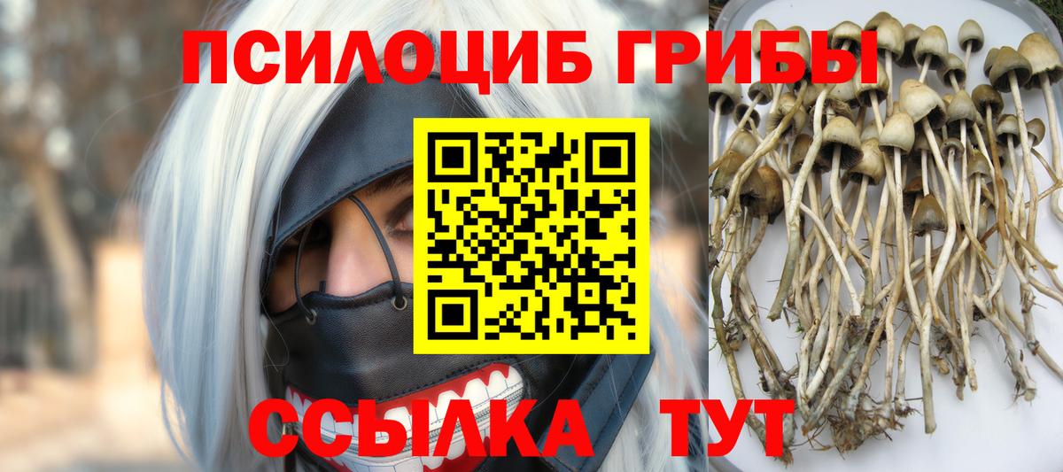 Галлюциногенные грибы ЛСД  Вход с VPN  Узловая 
