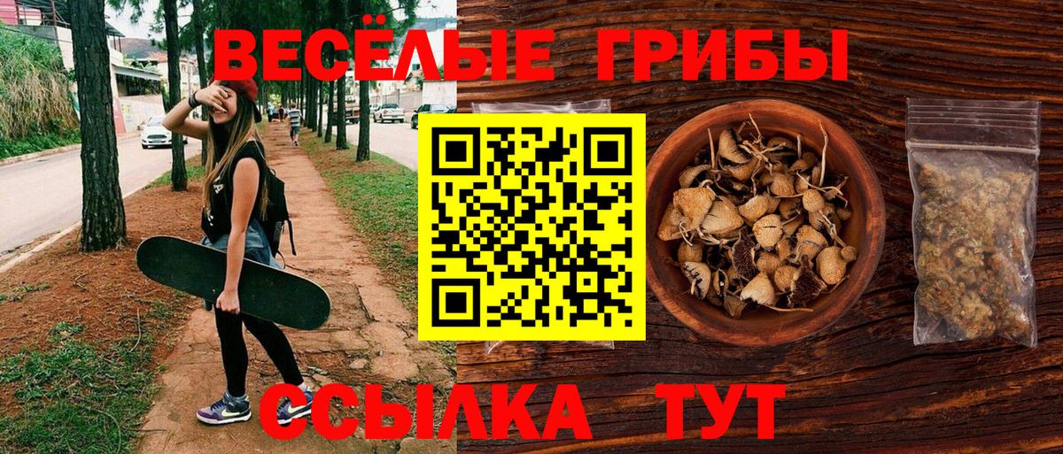 Псилоцибиновые грибы GOLDEN TEACHER Узловая
